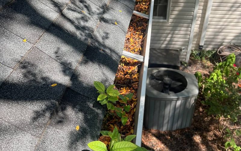 gutter with plants leaves and dirt in it